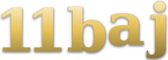 11 baj logo
